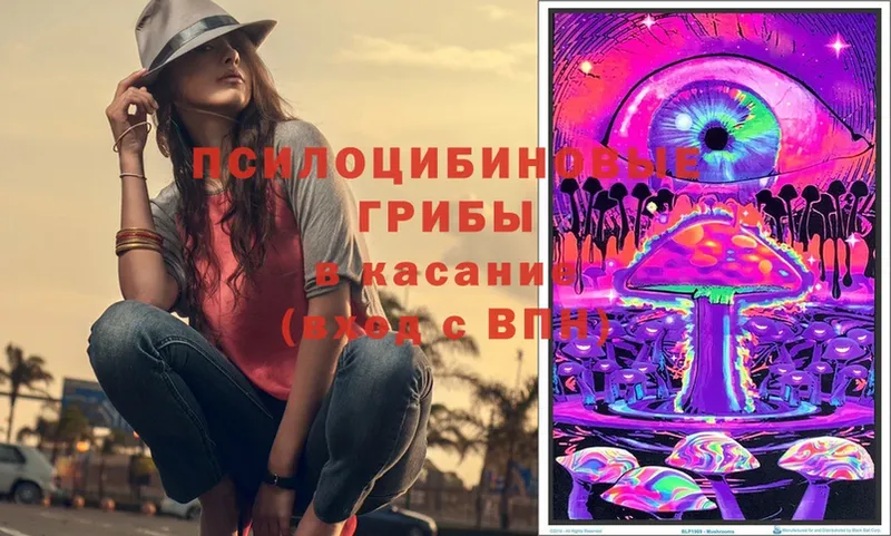 Псилоцибиновые грибы Cubensis  купить   Зарайск 